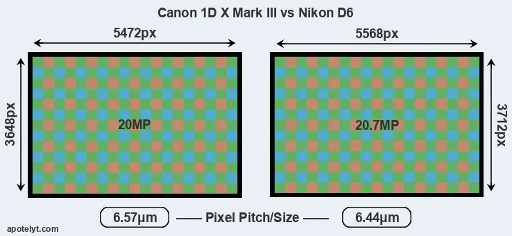 1DX Mark III versus D6 MP