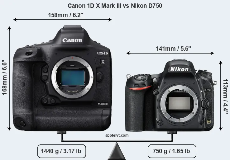 Size Canon 1D X Mark III vs Nikon D750