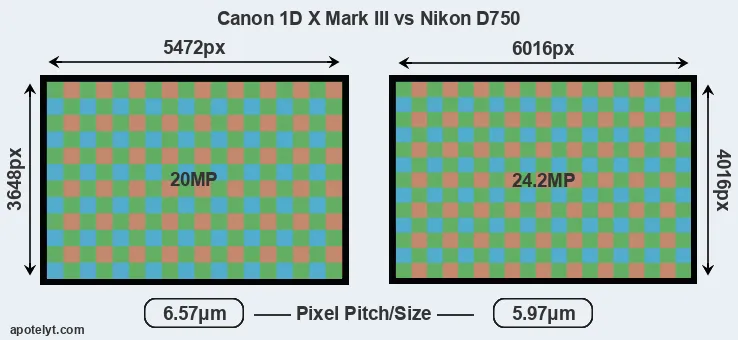 1DX Mark III versus D750 MP