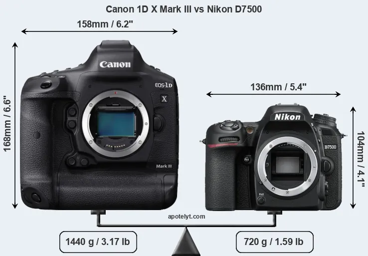 Size Canon 1D X Mark III vs Nikon D7500