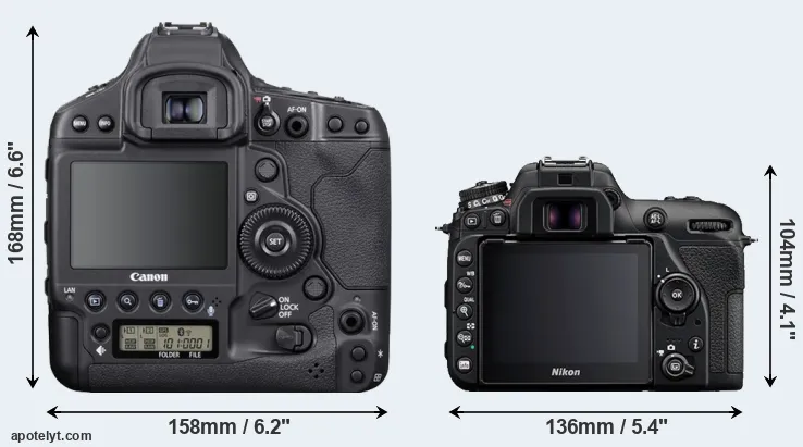 Comparison 1DX Mark III or D7500 rear