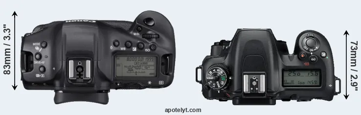 Compare 1DX Mark III versus D7500 top