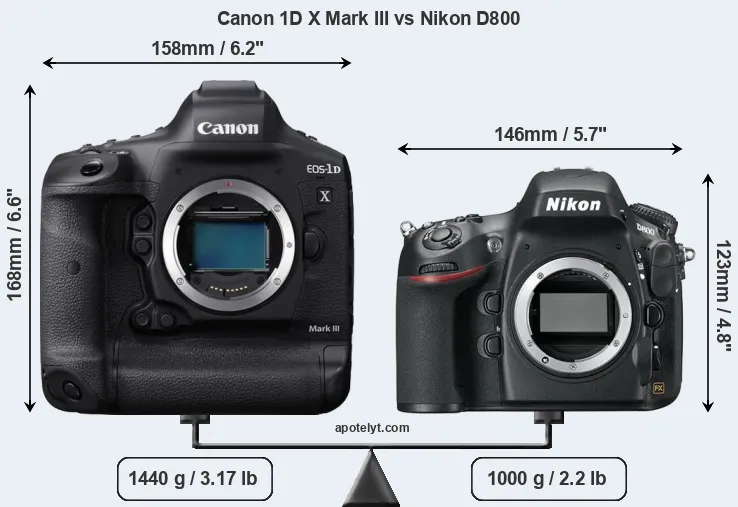 Size Canon 1D X Mark III vs Nikon D800