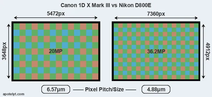1DX Mark III versus D800E MP