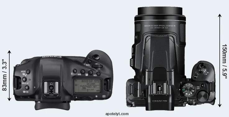 Compare 1DX Mark III versus P950 top