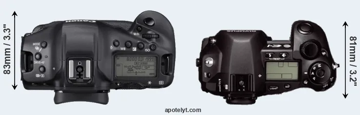 Compare 1DX Mark III versus E-1 top
