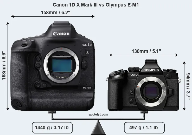 Size Canon 1D X Mark III vs Olympus E-M1