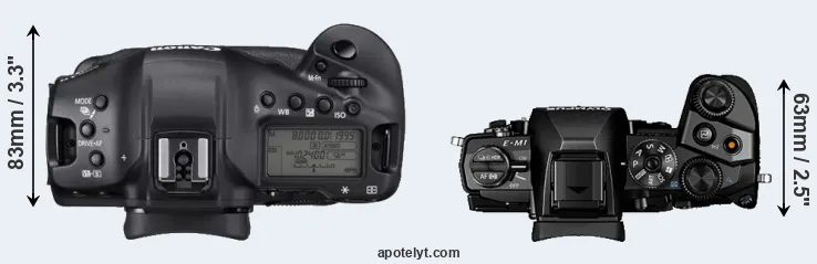Compare 1DX Mark III versus E-M1 top