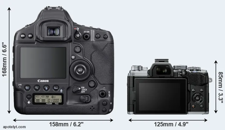 Comparison 1DX Mark III or E-M5 III rear