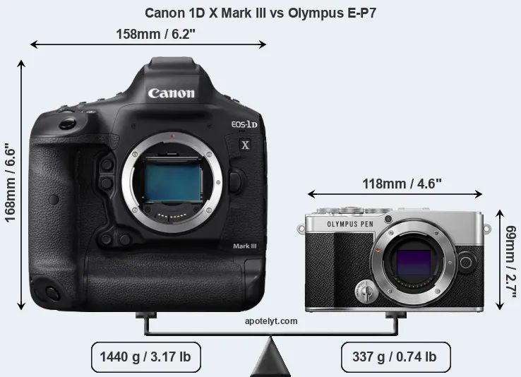 Size Canon 1D X Mark III vs Olympus E-P7