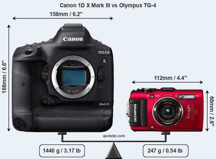 Size Canon 1D X Mark III vs Olympus TG-4