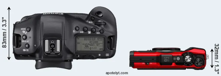 Compare 1DX Mark III versus TG-6 top