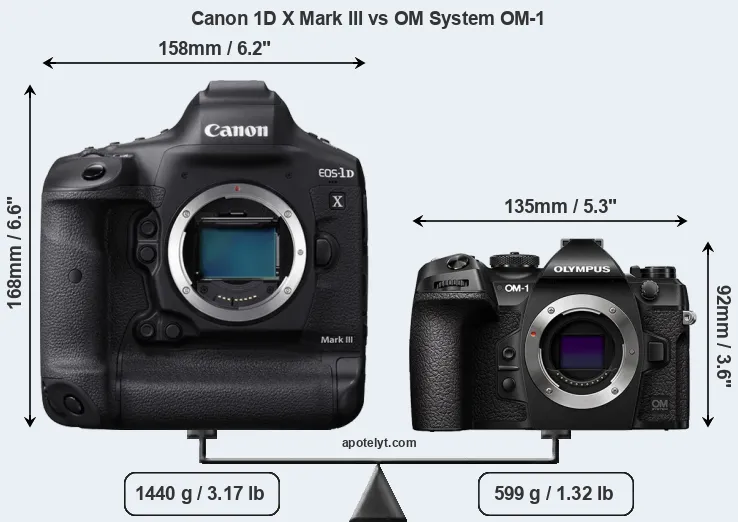 Size Canon 1D X Mark III vs OM System OM-1