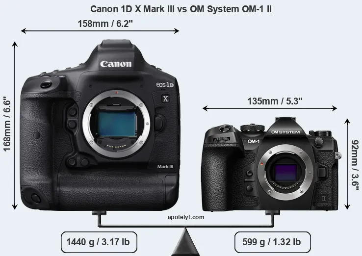 Size Canon 1D X Mark III vs OM System OM-1 II