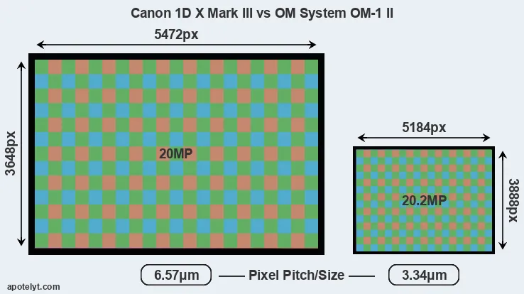 1DX Mark III versus OM-1 II MP