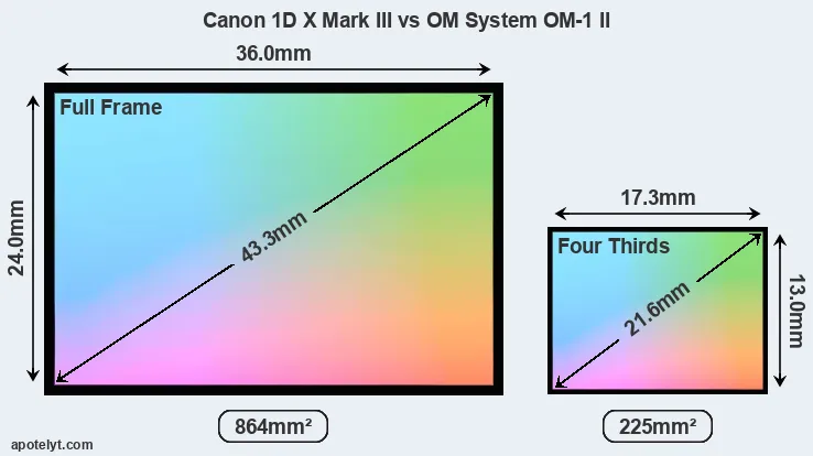 Canon 1D X Mark III and OM System OM-1 II sensor measures