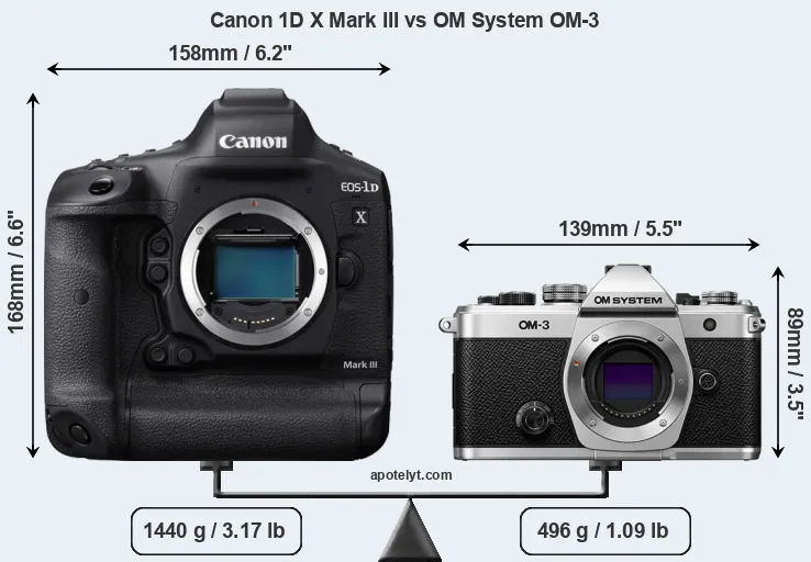 Size Canon 1D X Mark III vs OM System OM-3