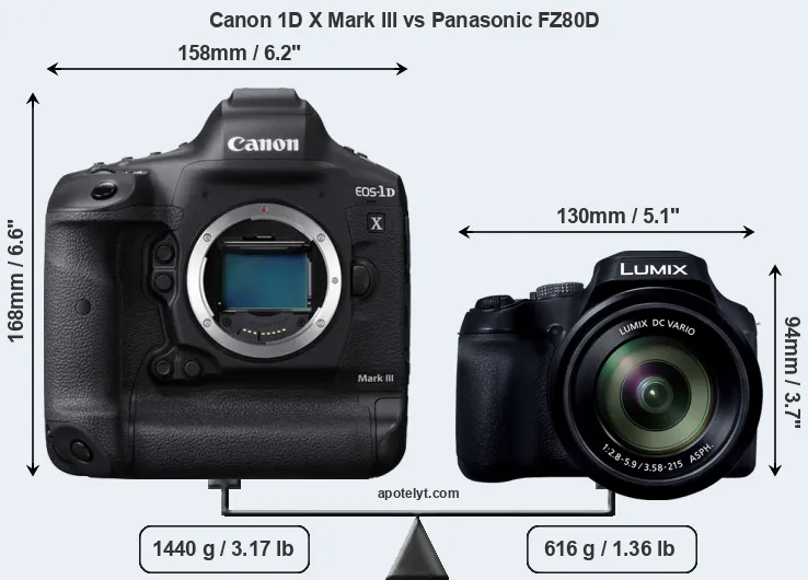 Size Canon 1D X Mark III vs Panasonic FZ80D
