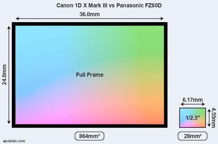 Canon 1D X Mark III and Panasonic FZ80D sensor measures