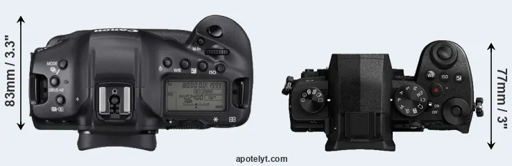 Compare 1DX Mark III versus G95 top