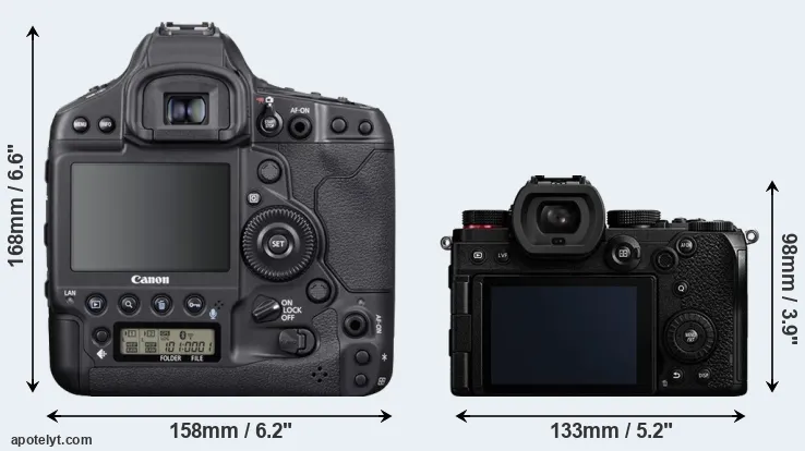 Comparison 1DX Mark III or S5 rear