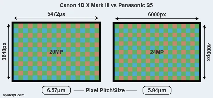 1DX Mark III versus S5 MP