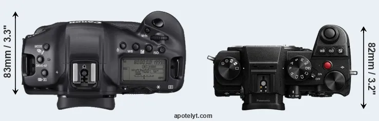 Compare 1DX Mark III versus S5 top