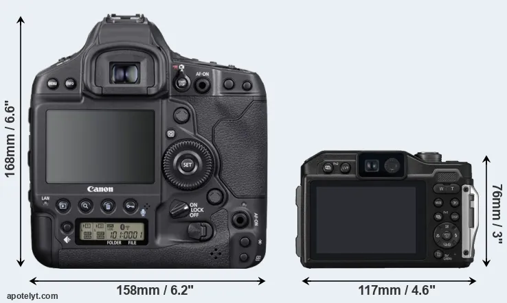 Comparison 1DX Mark III or TS7 rear