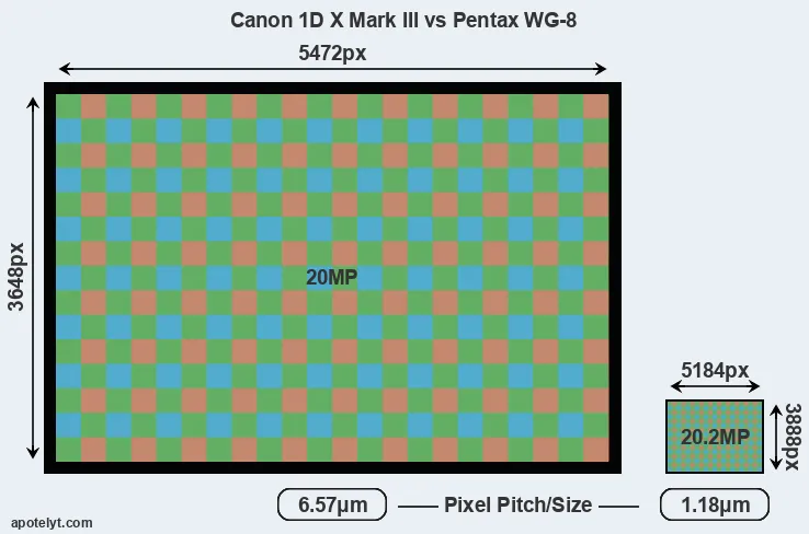 1DX Mark III versus WG-8 MP