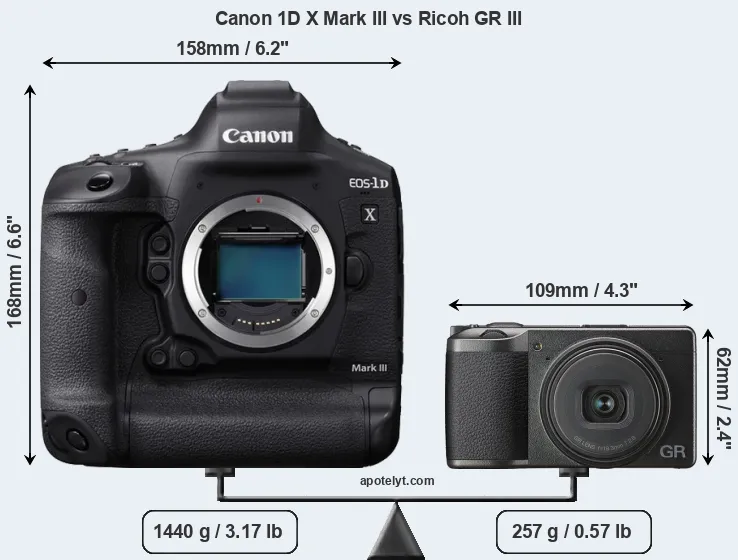 Size Canon 1D X Mark III vs Ricoh GR III