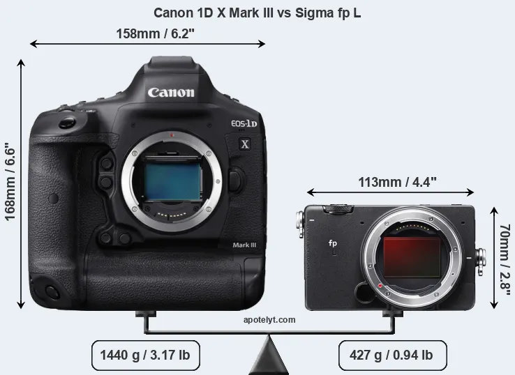 Size Canon 1D X Mark III vs Sigma fp L