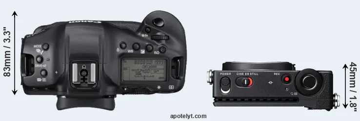 Compare 1DX Mark III versus fp L top