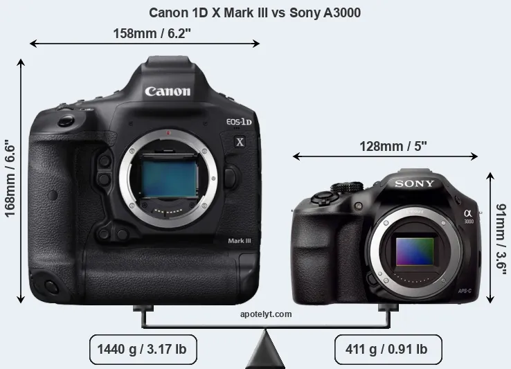Size Canon 1D X Mark III vs Sony A3000