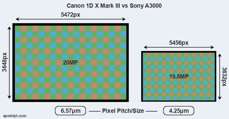 1DX Mark III versus A3000 MP