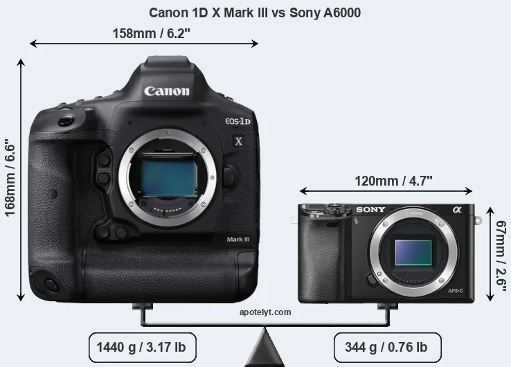 Size Canon 1D X Mark III vs Sony A6000