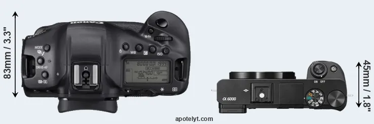 Compare 1DX Mark III versus A6000 top