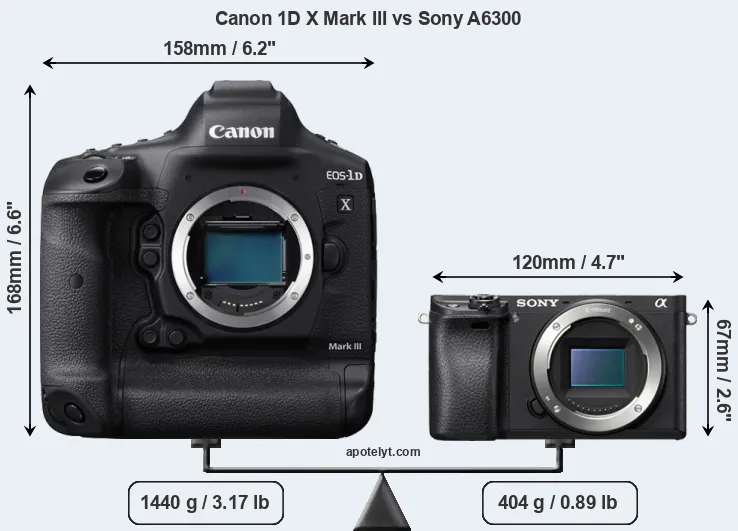 Size Canon 1D X Mark III vs Sony A6300