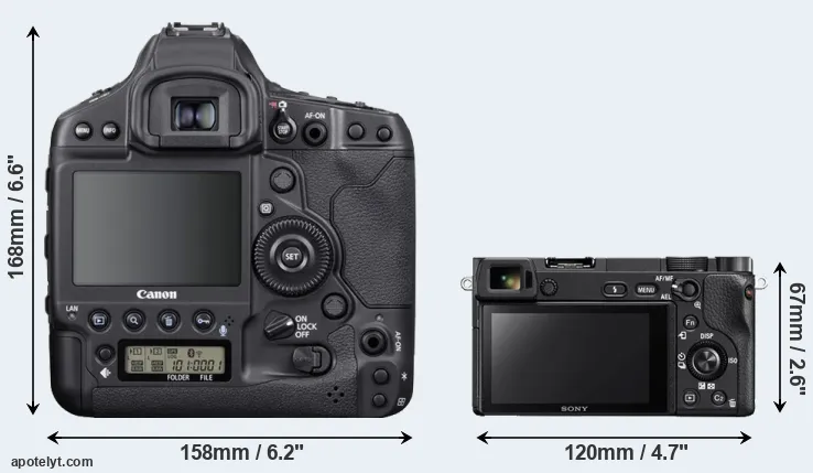 Comparison 1DX Mark III or A6300 rear