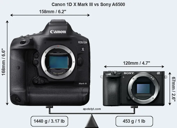 Size Canon 1D X Mark III vs Sony A6500