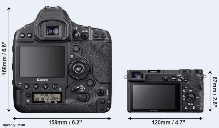 Comparison 1DX Mark III or A6500 rear