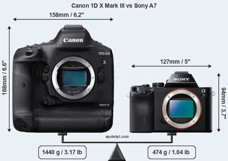Size Canon 1D X Mark III vs Sony A7