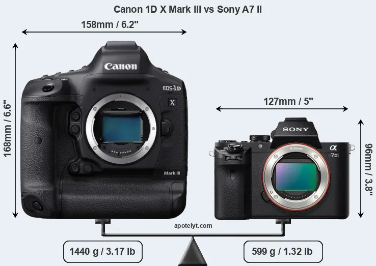 Size Canon 1D X Mark III vs Sony A7 II