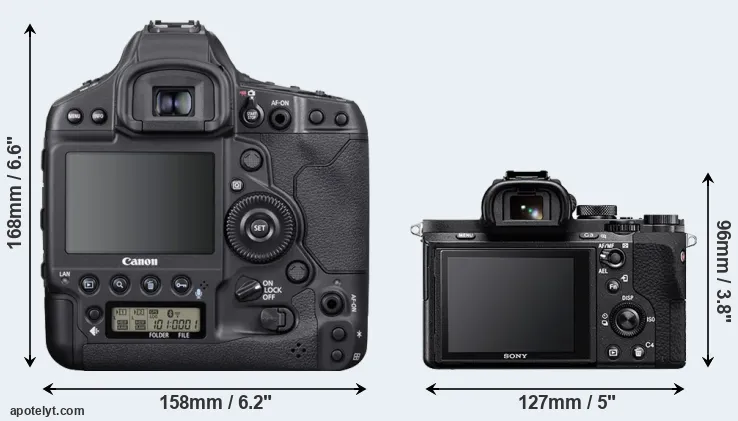 Comparison 1DX Mark III or A7 II rear