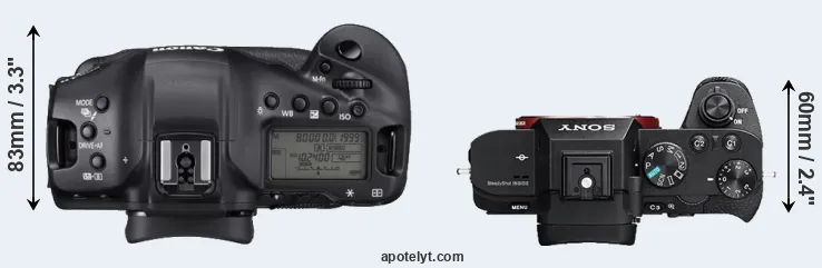 Compare 1DX Mark III versus A7 II top