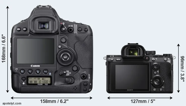 Comparison 1DX Mark III or A7 III rear