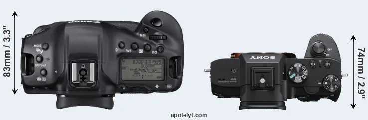 Compare 1DX Mark III versus A7 III top