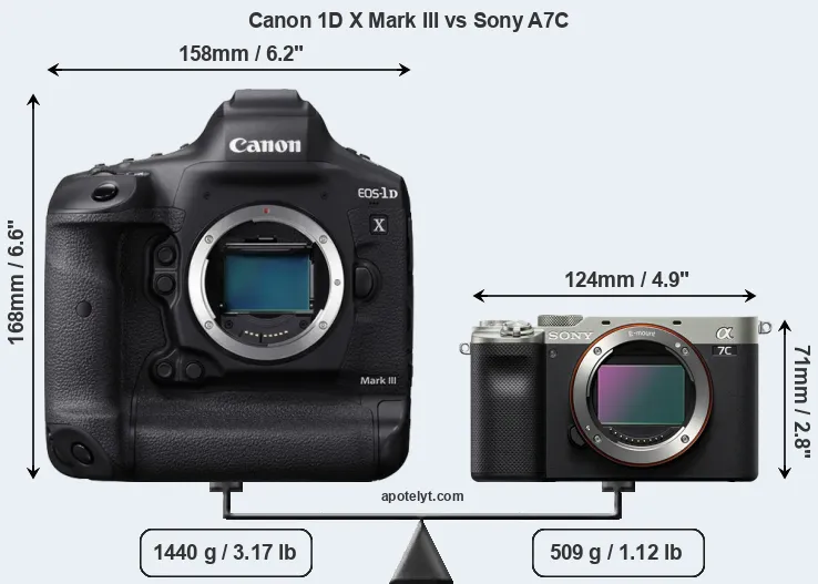 Size Canon 1D X Mark III vs Sony A7C