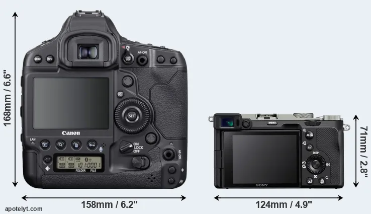Comparison 1DX Mark III or A7C rear