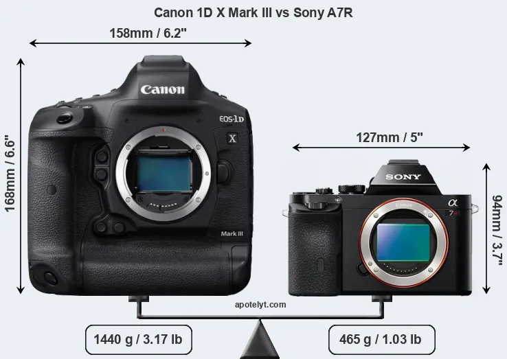 Size Canon 1D X Mark III vs Sony A7R
