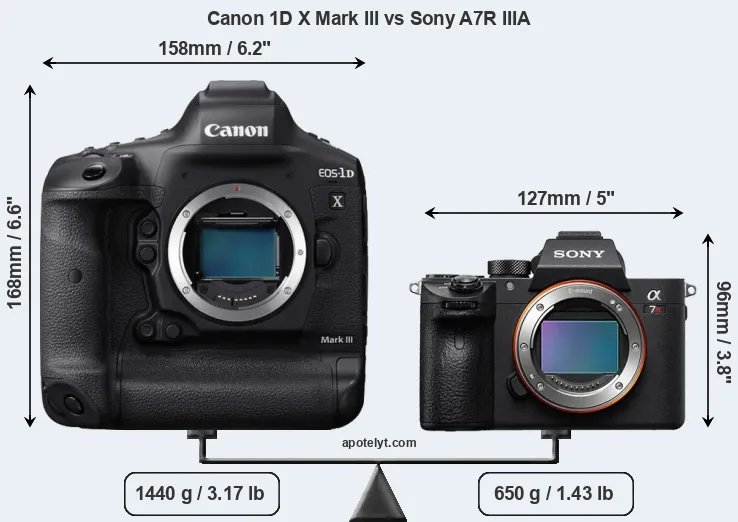 Size Canon 1D X Mark III vs Sony A7R IIIA
